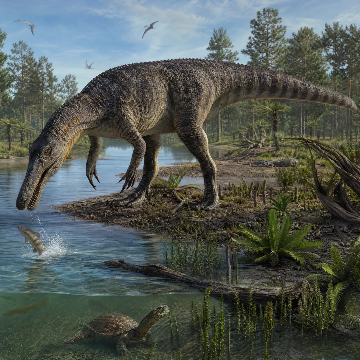 Baryonyx 5