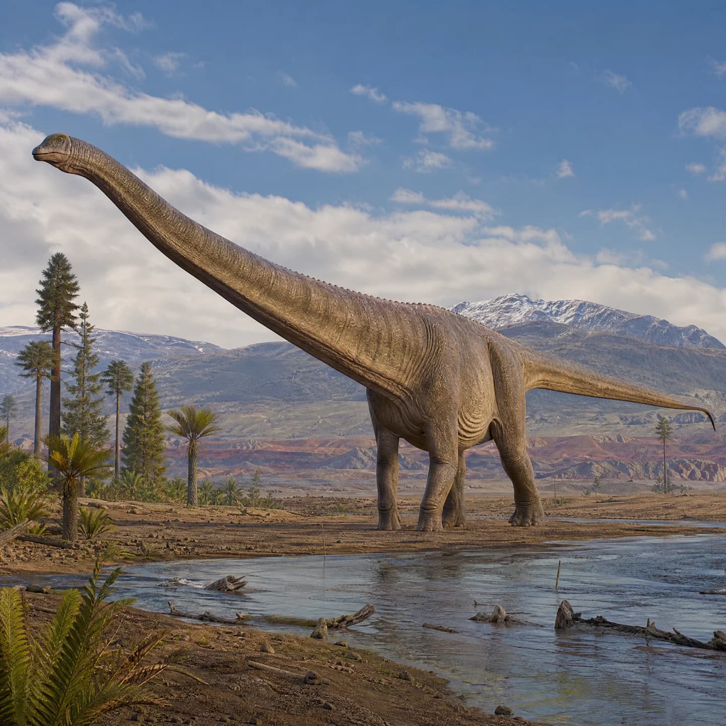 Argentinosaurus 2