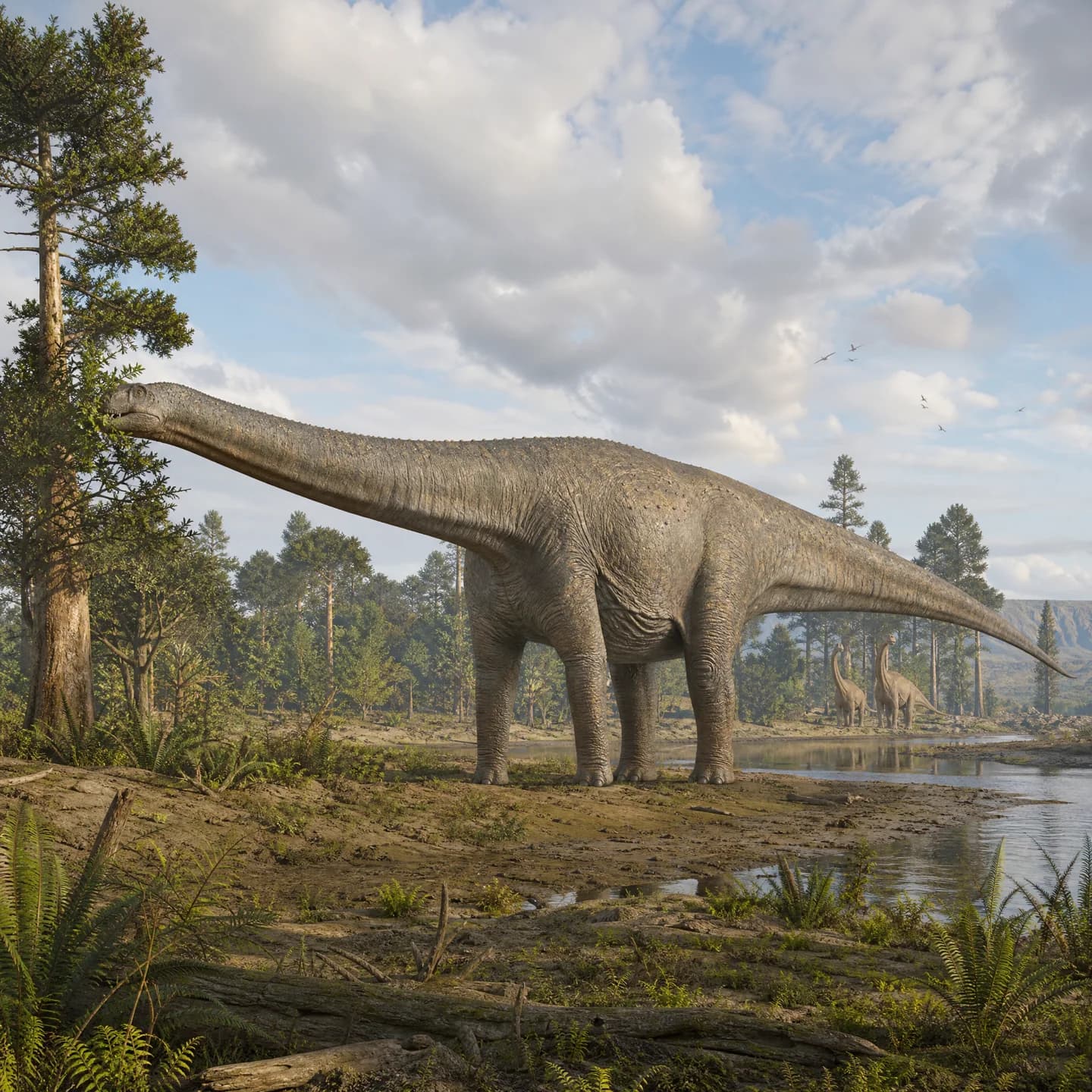 Argentinosaurus 3