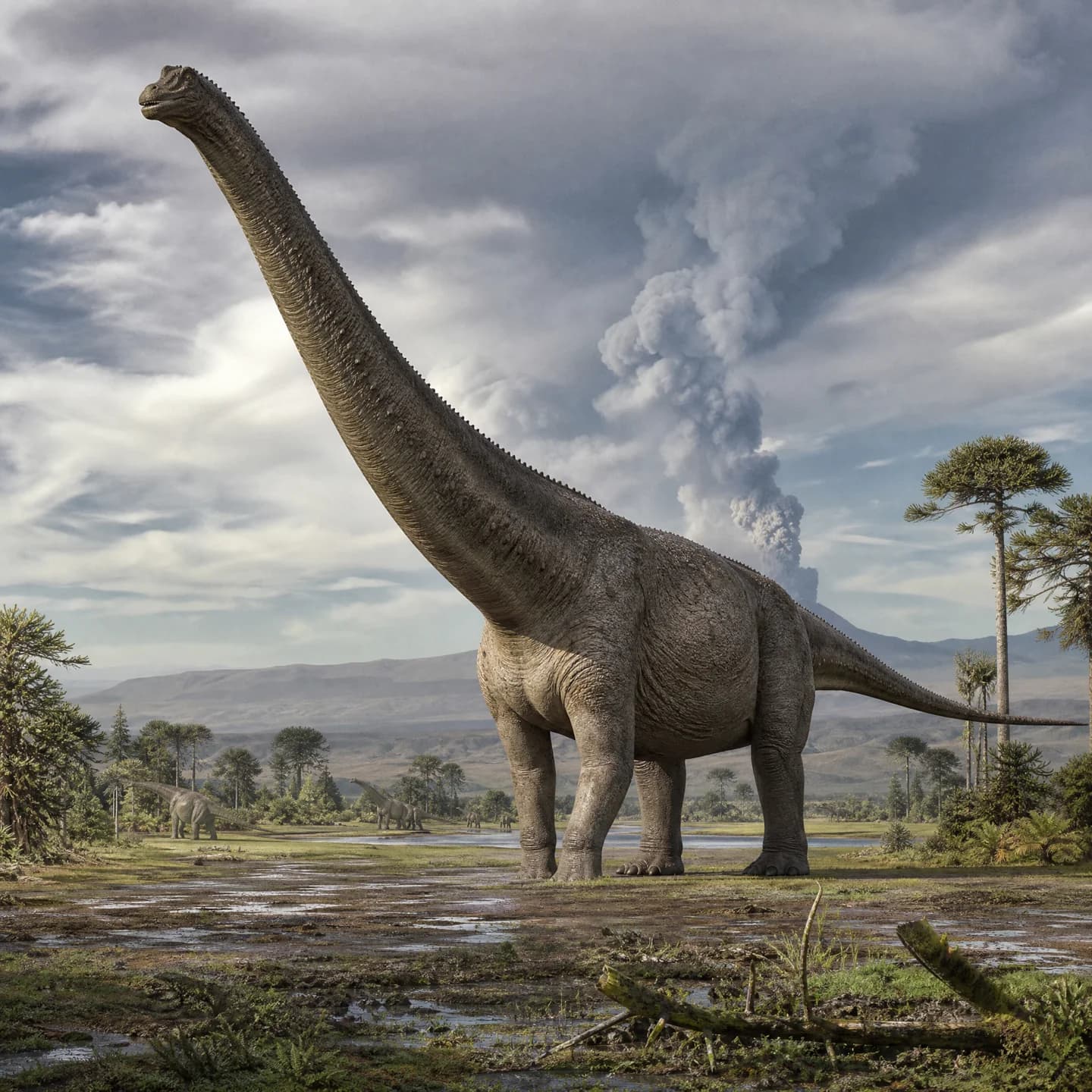 Argentinosaurus 5