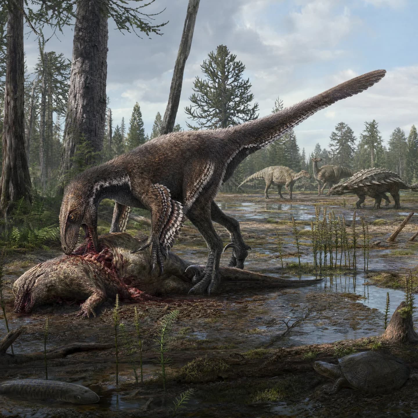 Deinonychus 2