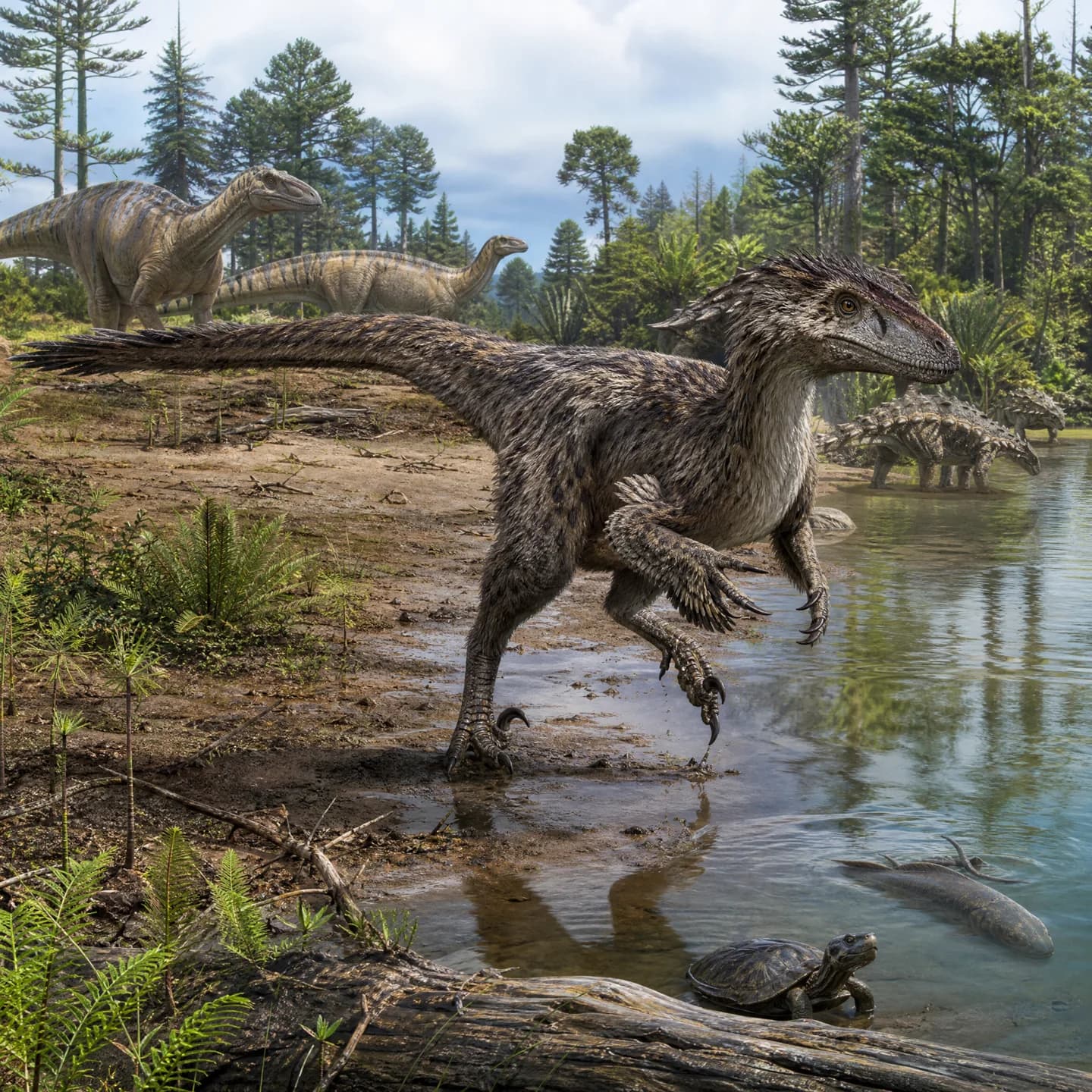 Deinonychus 3