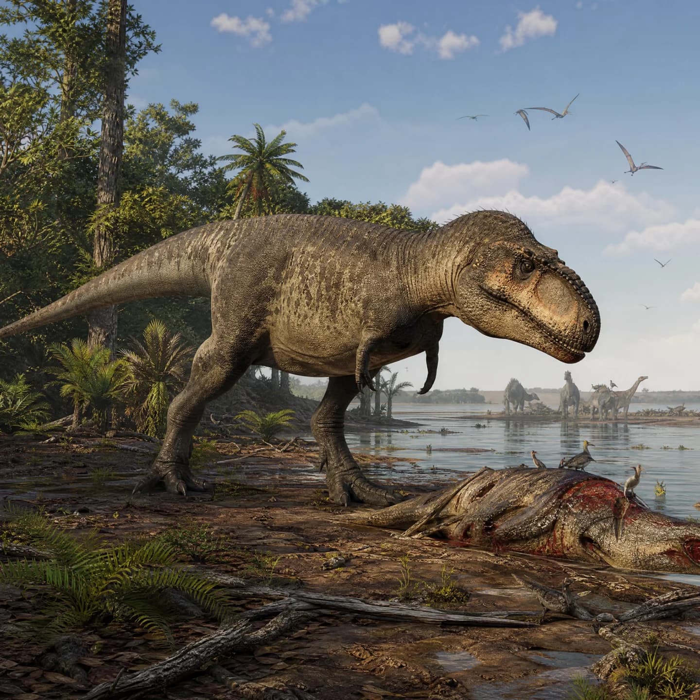 Carcharodontosaurus 5