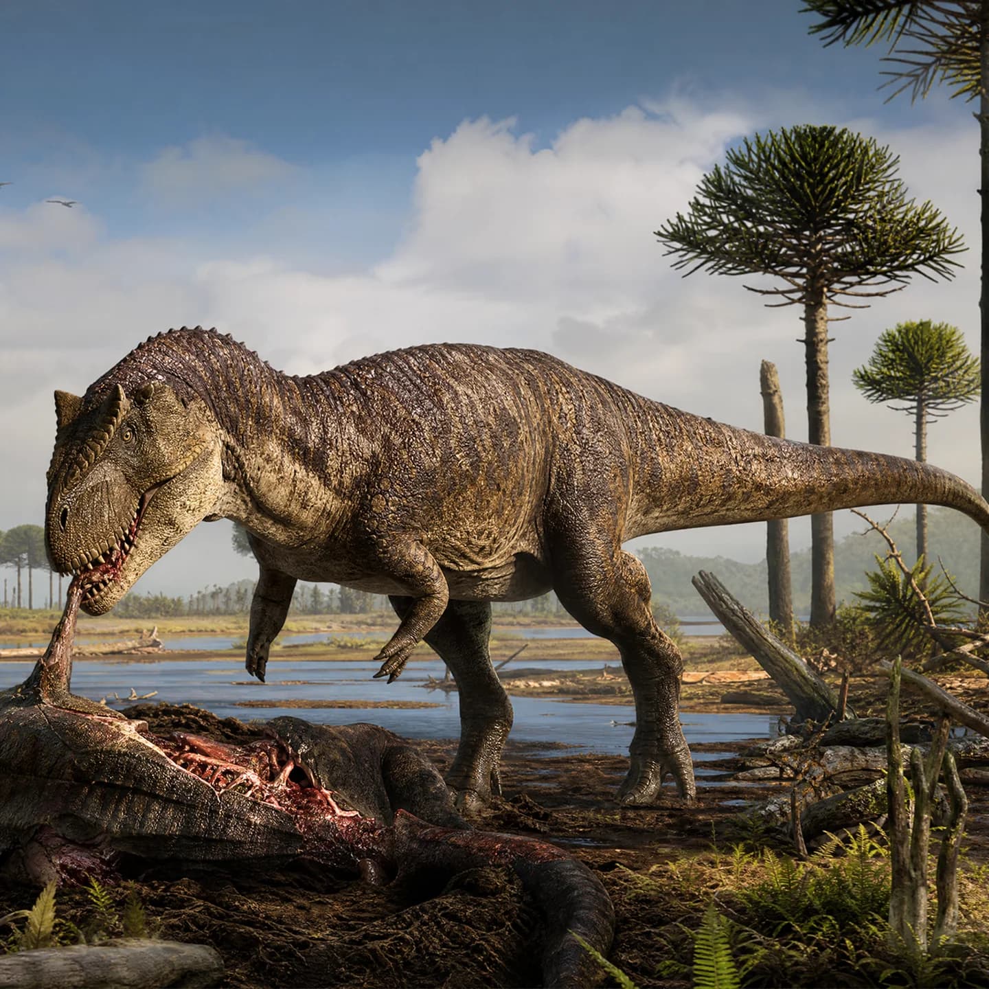 Majungasaurus 5