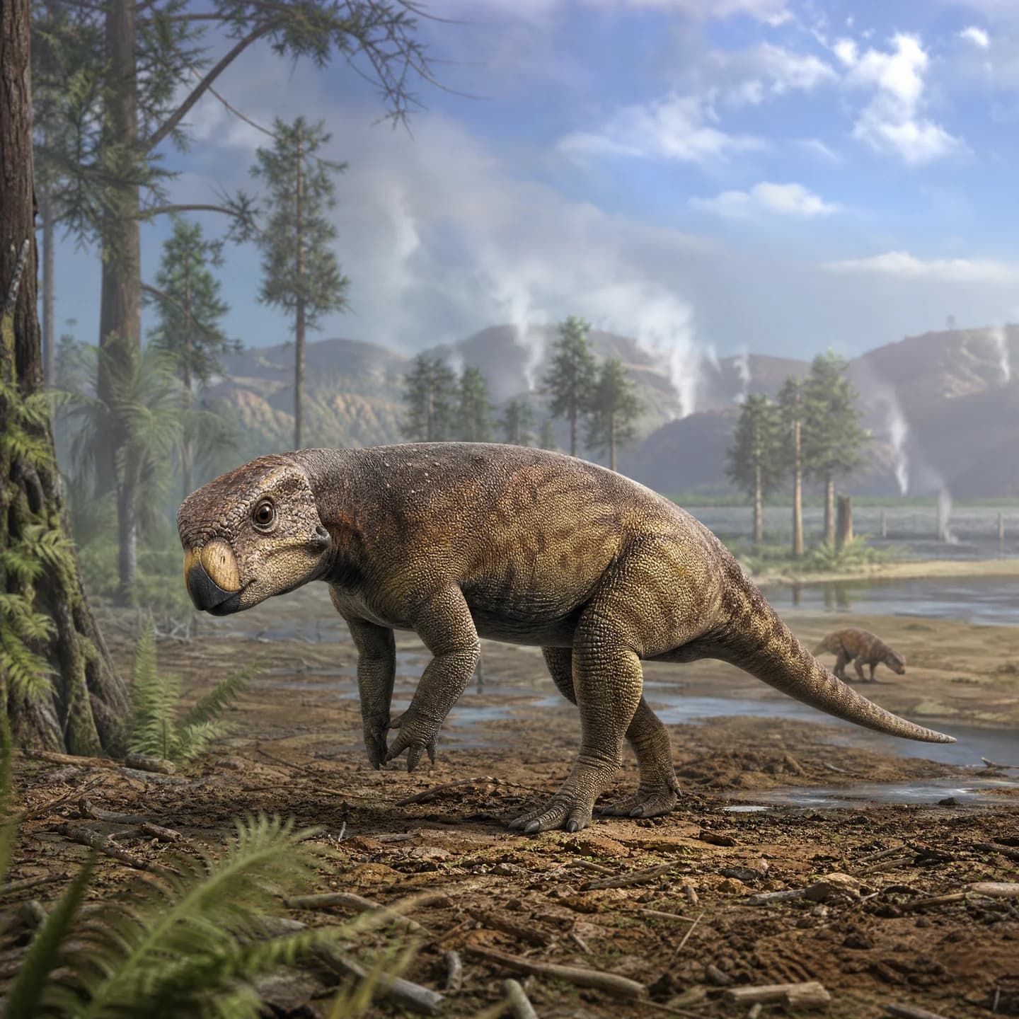Psittacosaurus 5