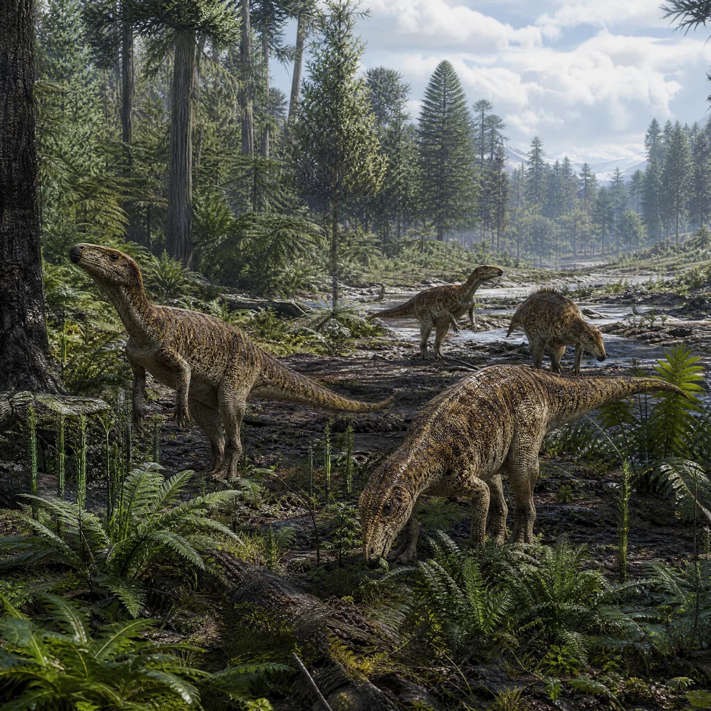 Leaellynasaura 2