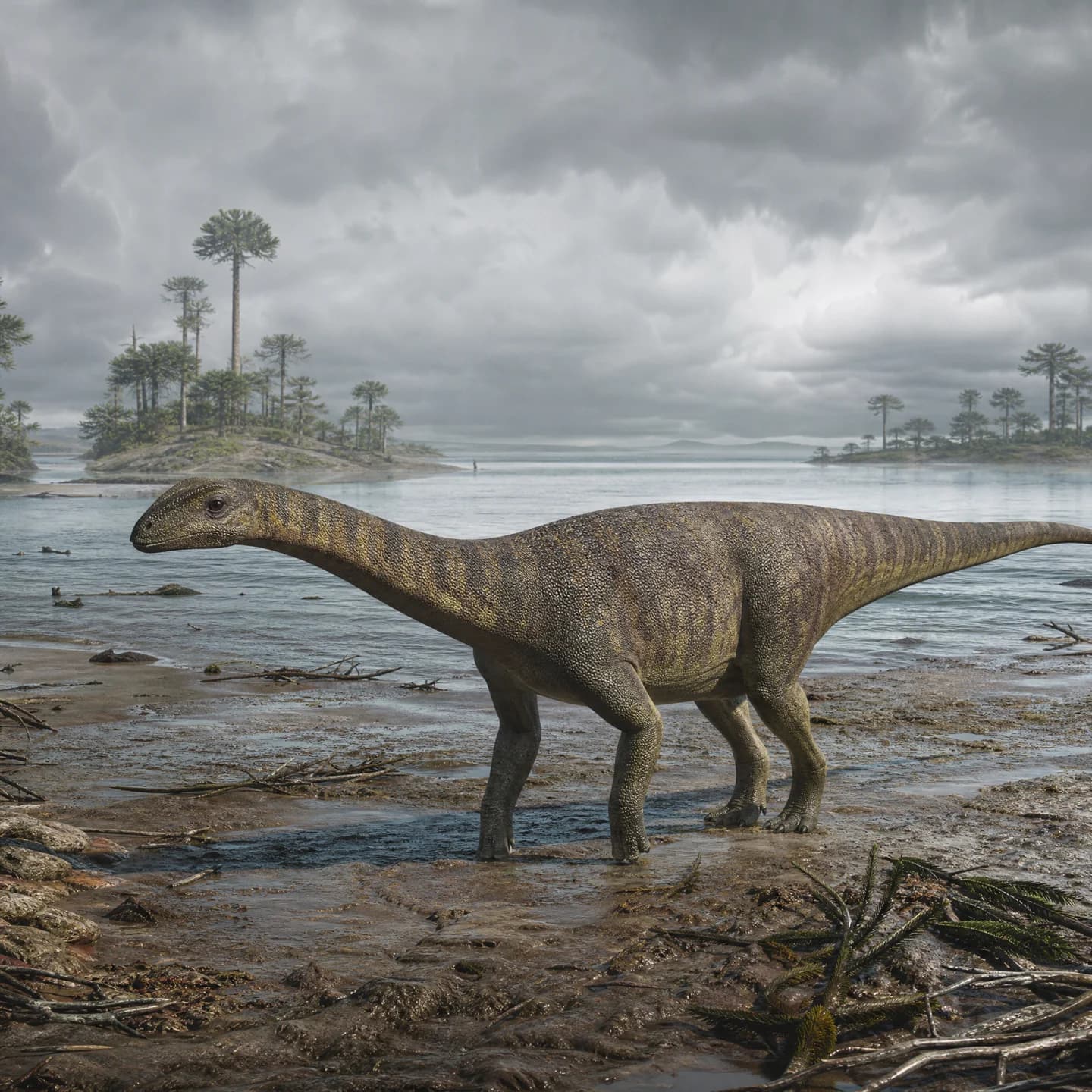 Scelidosaurus 5