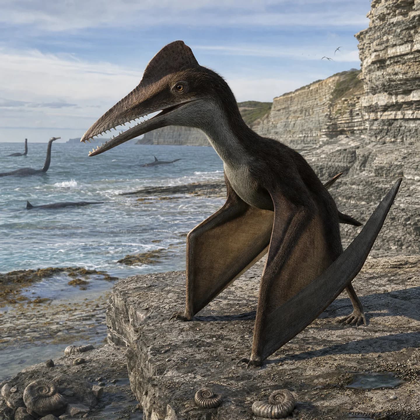 Dimorphodon 4