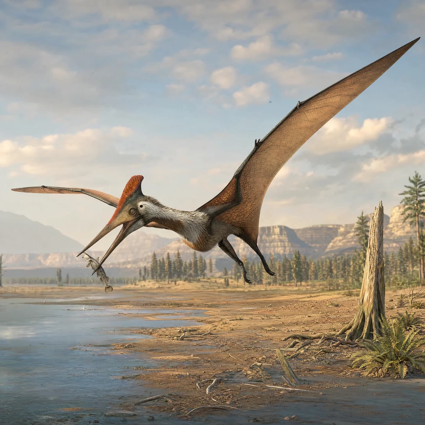 Dsungaripterus 5