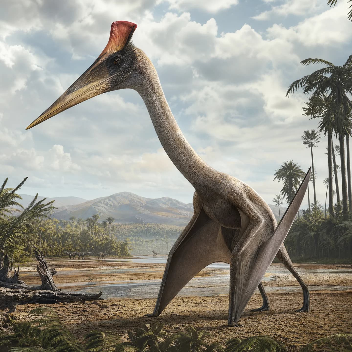 Hatzegopteryx 5
