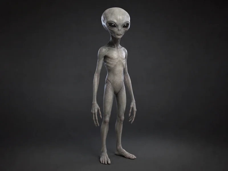Archetypal Grey Visitor — imagined extraterrestrial life-form illustration, not real on Earth or any exoplanet | DinoLifePedia
